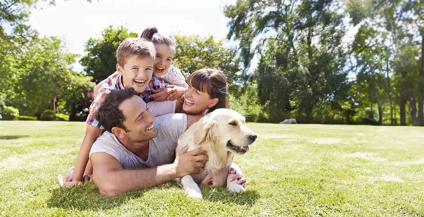 Learn more about the basics of life insurance and help protect your family today.